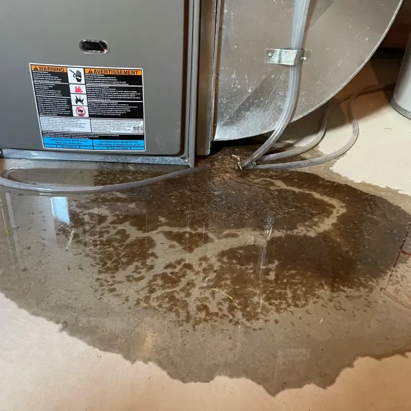 Appliance Leak Cleanup in Rockwell, AR